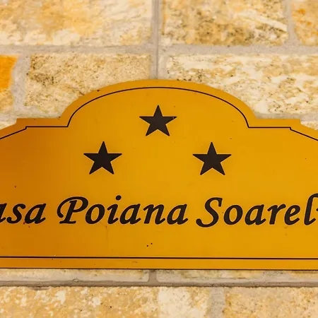 Casa Poiana Soarelui Willa Braszów
